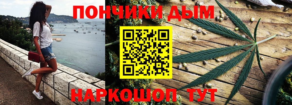 Галлюциногенные грибы Курчалой